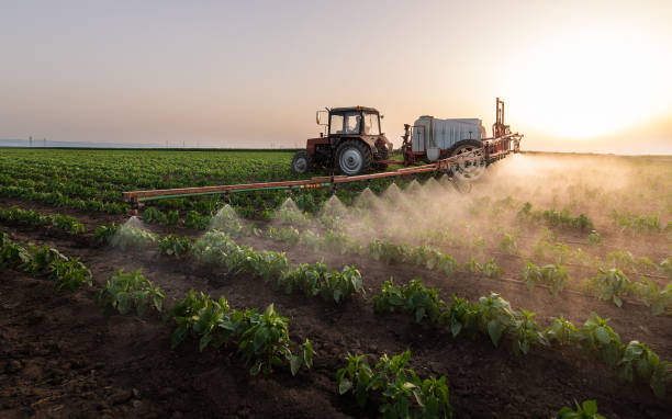 Best Ant Control Services  in Westmont, CA