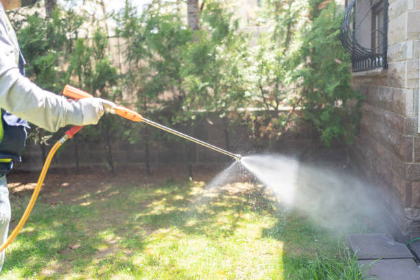 Wasp Removal Services in Westmont, CA