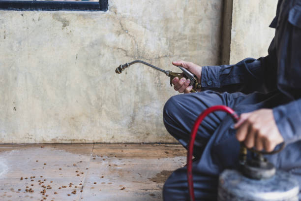 Pest Control for Restaurants in Westmont, CA